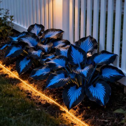 🔥Premium Rare Hosta Seeds🌿Shade-Tolerant Plant